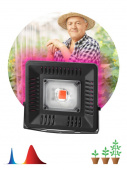 Светильник светодиод. ЭРА FITO-50W-LED BLUERED