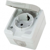Розетка 1ОП+3 "Вуокса" IP54 16A TDM