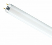 Лампа люм.590мм 18Вт D26 .холод.-бел. OSRAM 765