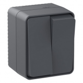 Выключатель 2ОП антрацит IP54 Schneider ATN544051