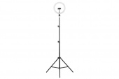 Светильник напольный Camelion KD-810F C02 LED кольцевой 10Вт, подставка под смартфон, на штативе