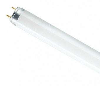Лампа люм.590мм 18Вт D26 бел. OSRAM 640