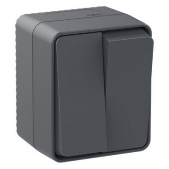 Выключатель 2ОП антрацит IP54 Schneider ATN544051