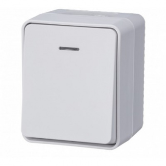 Выключатель 1ОП белый с подсветкой IP54 Schneider ATN540113